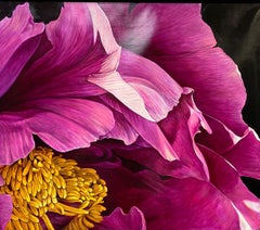 Radiance, original contemporary 31x36 photorealist landscape