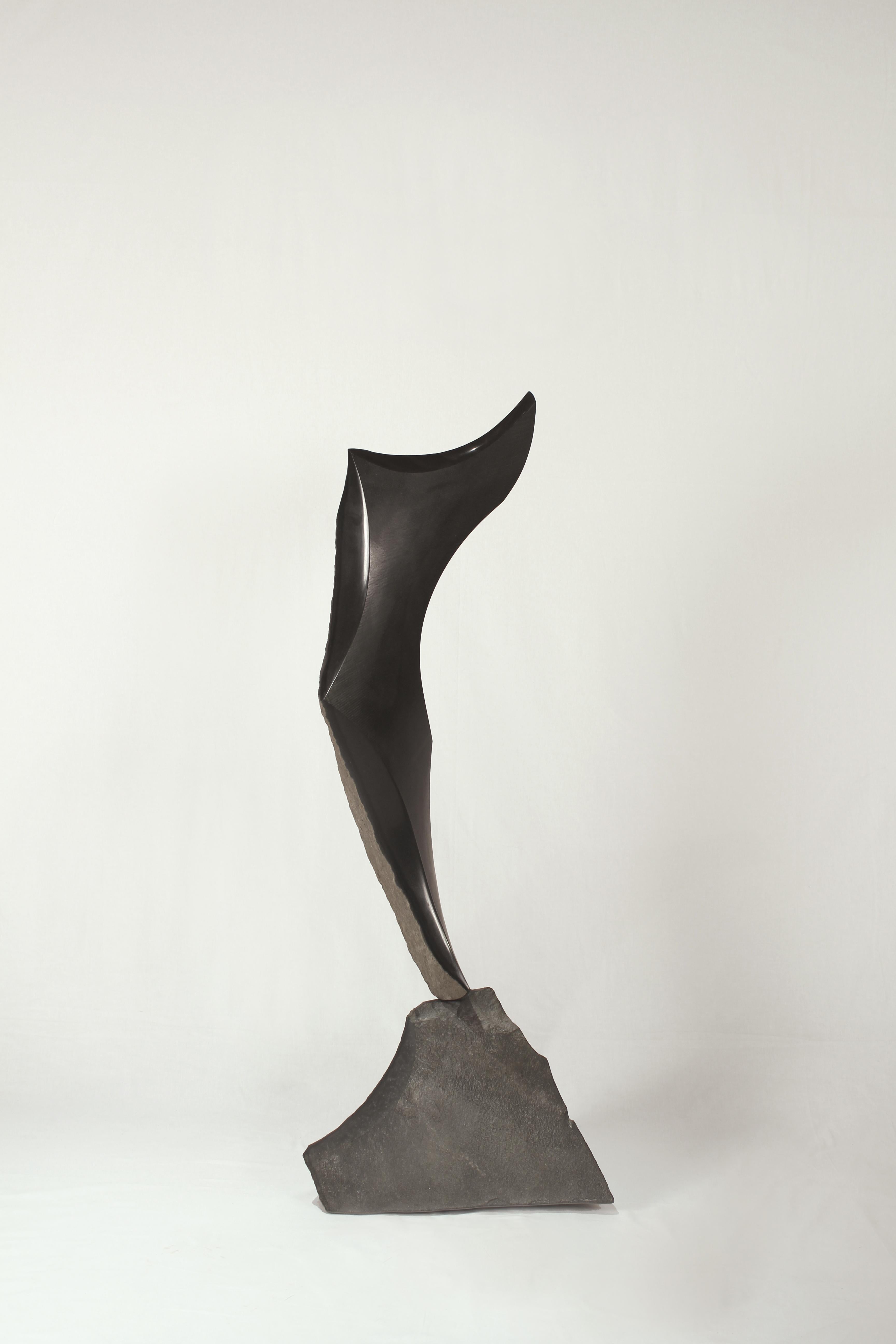 Will Robinson Abstract Sculpture - Enticement