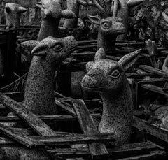 Ksenia Kokovashina - "Deers" - Bizarre Digital Photographic Art