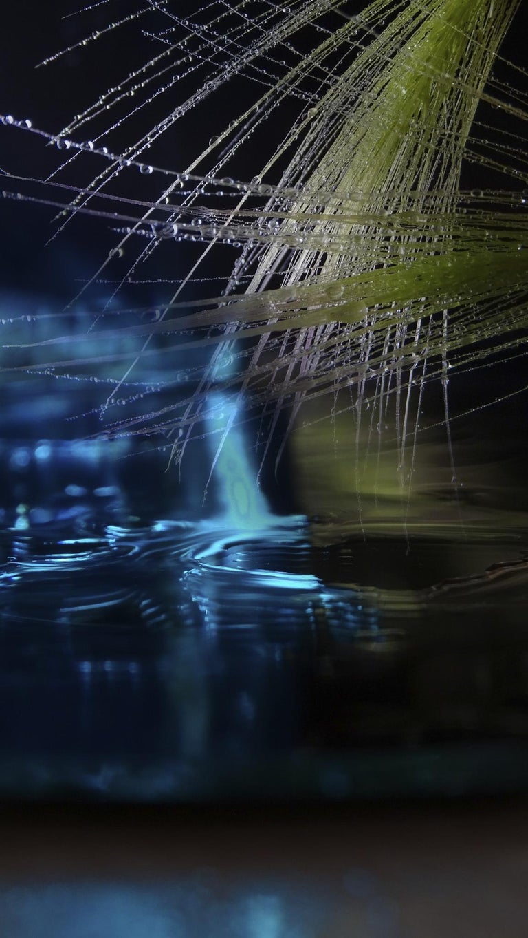 sunvue patio dining on Photographic Paper Art 22 866 For Sale At 1stdibs Page 6