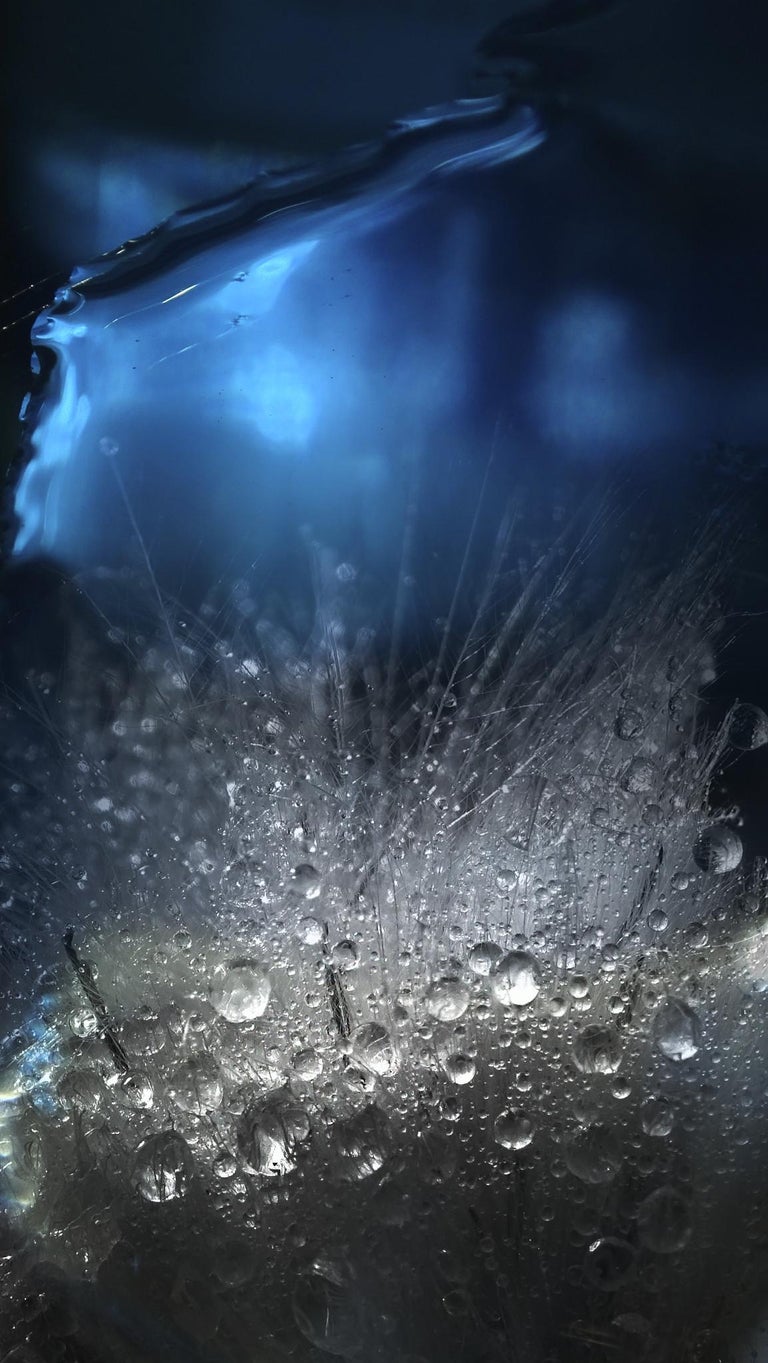 sunvue patio dining on Photographic Paper Art 22 866 For Sale At 1stdibs Page 6