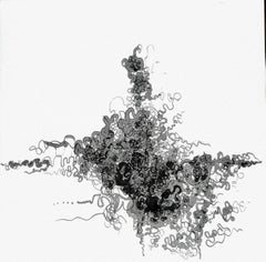 Chroessi Schnell - "Lefthandcompositions" - disegni astratti e di forme naturali