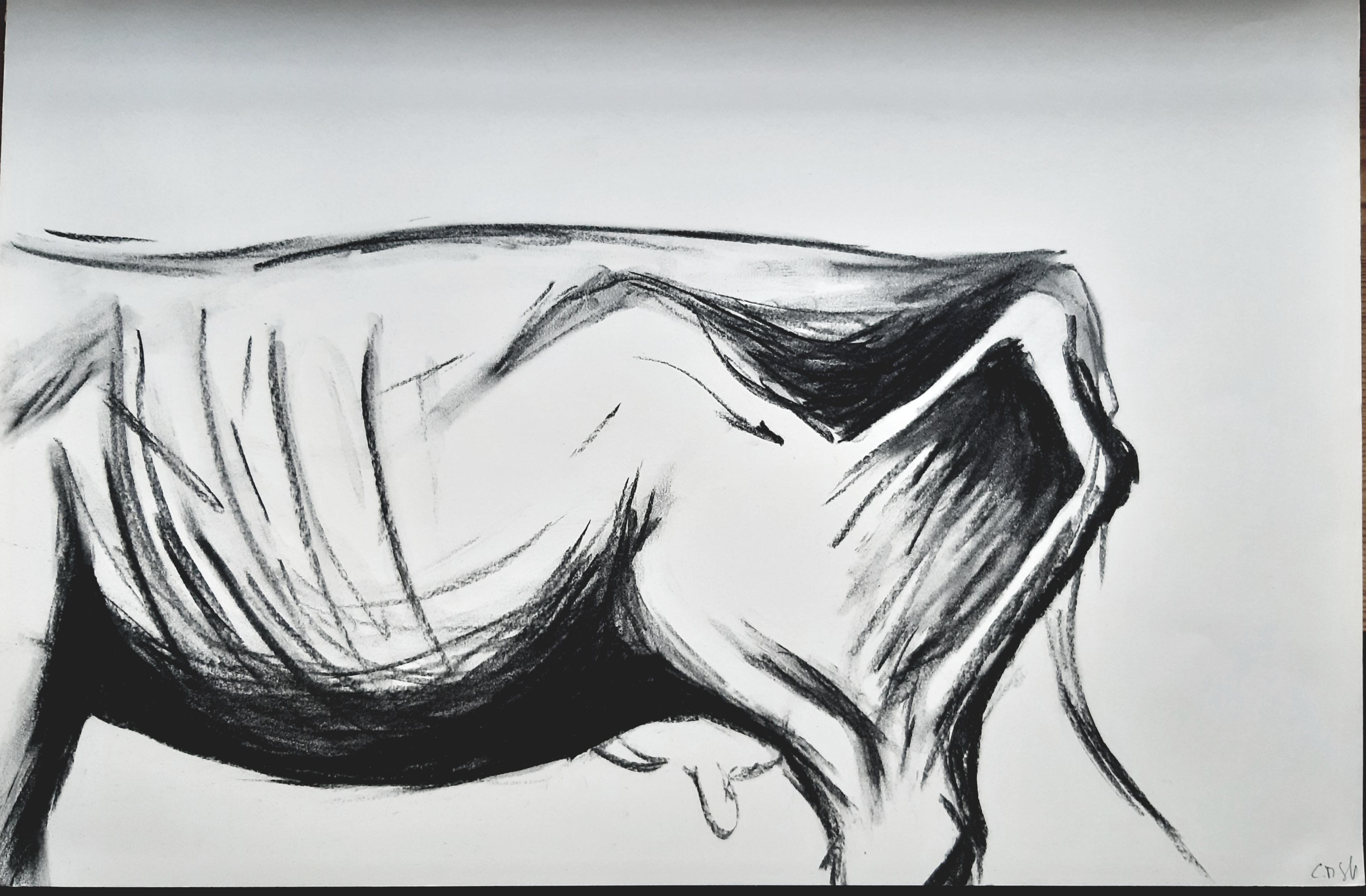 Chroessi Schnell - "Vacas X" - dibujo realista de tema naturaleza fina