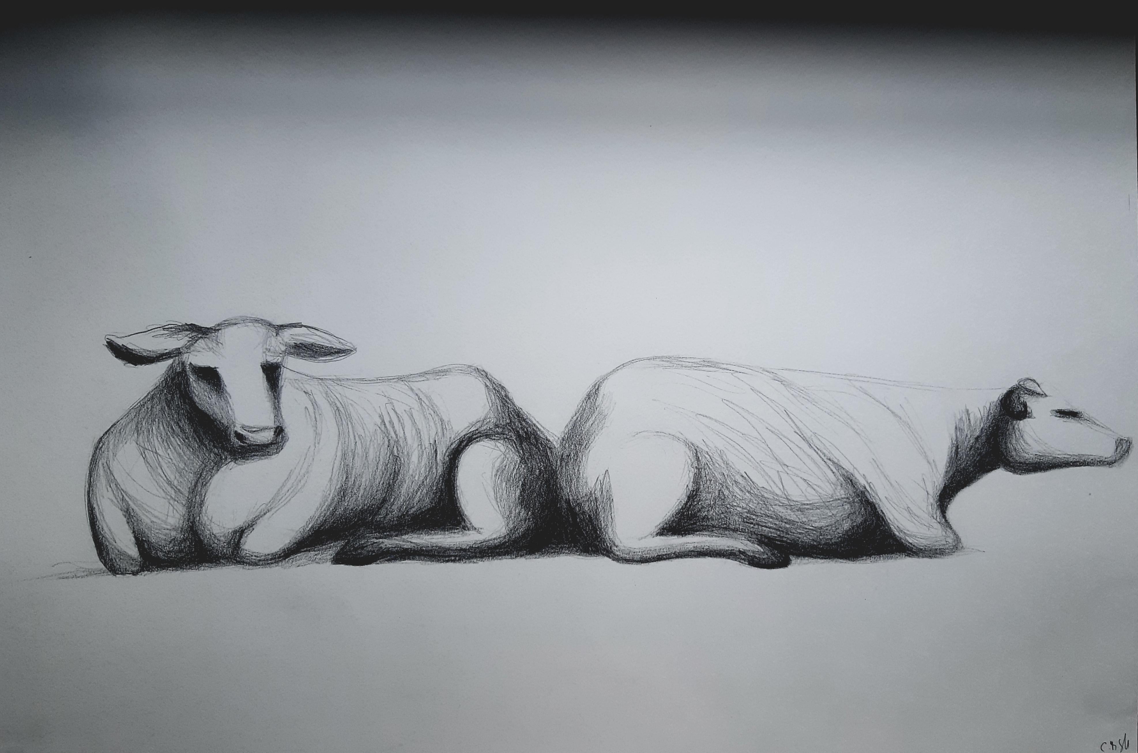 „Kuhn IV“ – realistische Zeichnung mit dem Thema „Kunst der Kühe“ von Gillessi Schnell