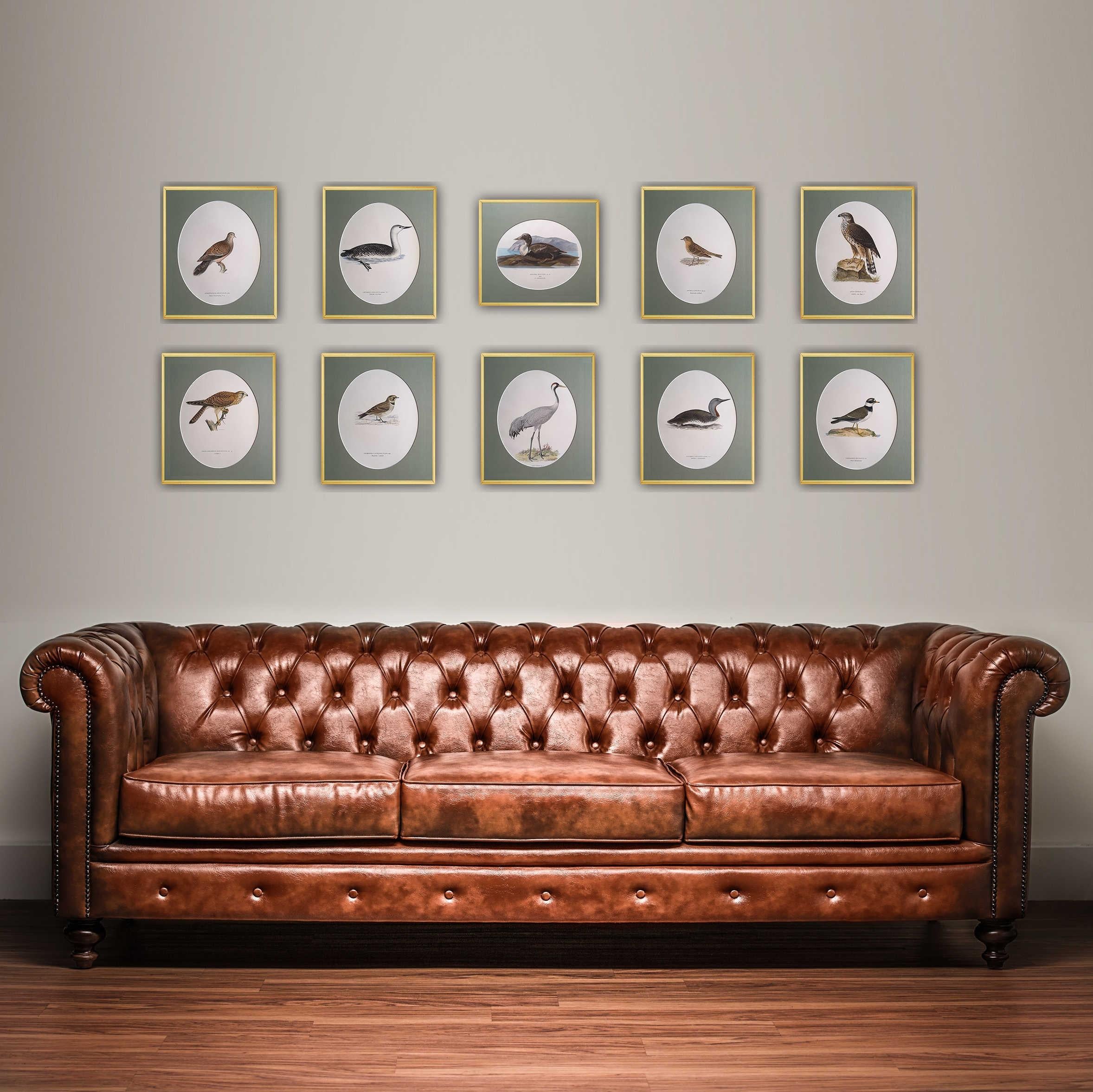Birds Composition - 