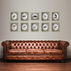 Composizione di uccelli - "Svenska Faglar" - Stampe uniche di ornitologia - set di 10