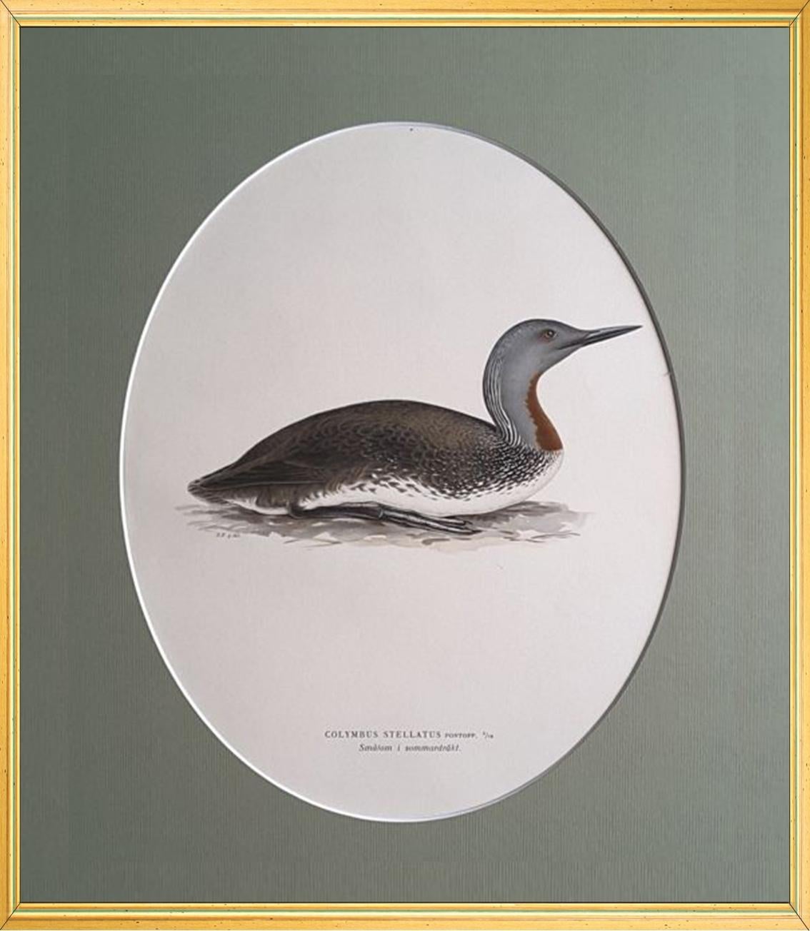 Birds Composition - 