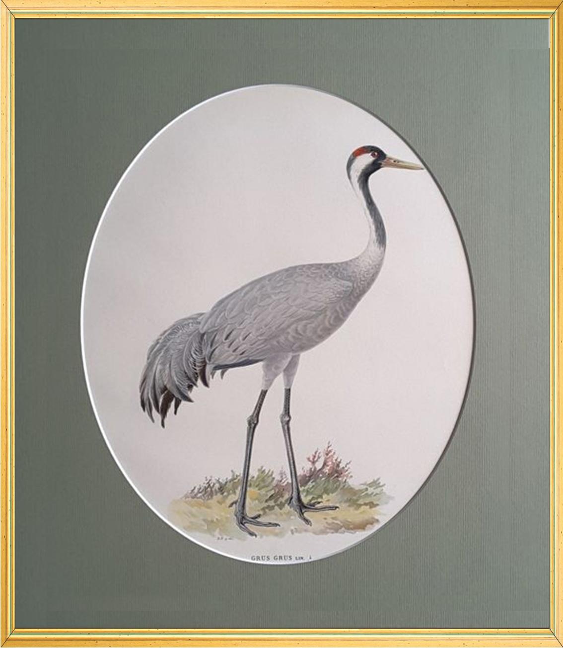 *THE ARTWORKS WILL BE SOLD: UNFRAMED, WITH PASSE-PARTOUT*

Beautiful serie of artworks: Swedish Birds by Magnus von Wright
Very detailed ornithological prints.

Topic: Animals
Image Size: 44 x 38 cm (also one horizontal: 38 x 27 cm)
Size: 	Small