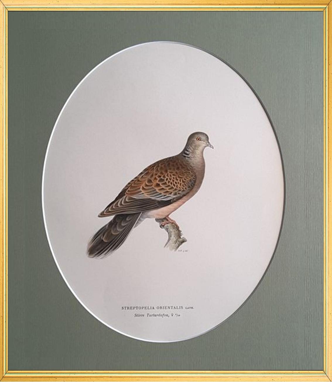 Birds Composition - 