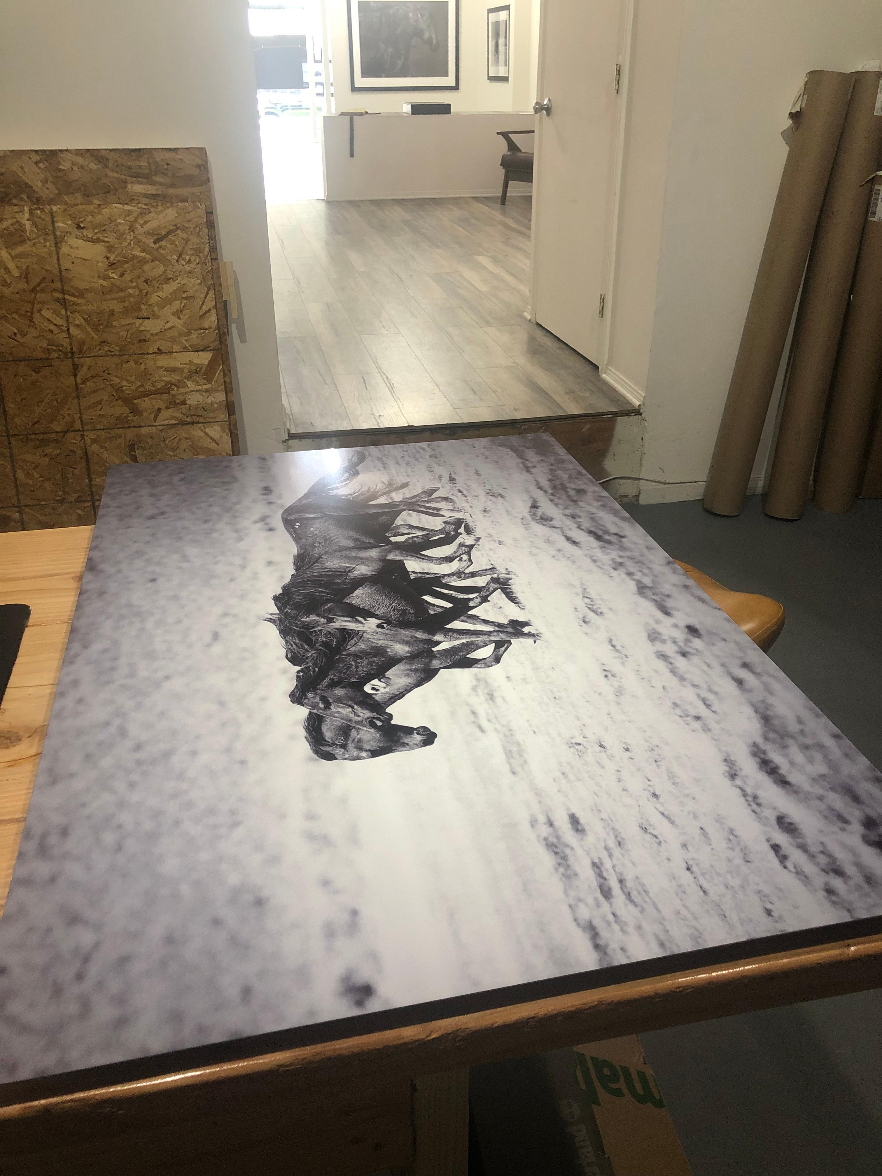 Black and White Metal Photo of Wild Horses Mustangs (Special 1stdibs Price) - Photograph by Shane Russeck