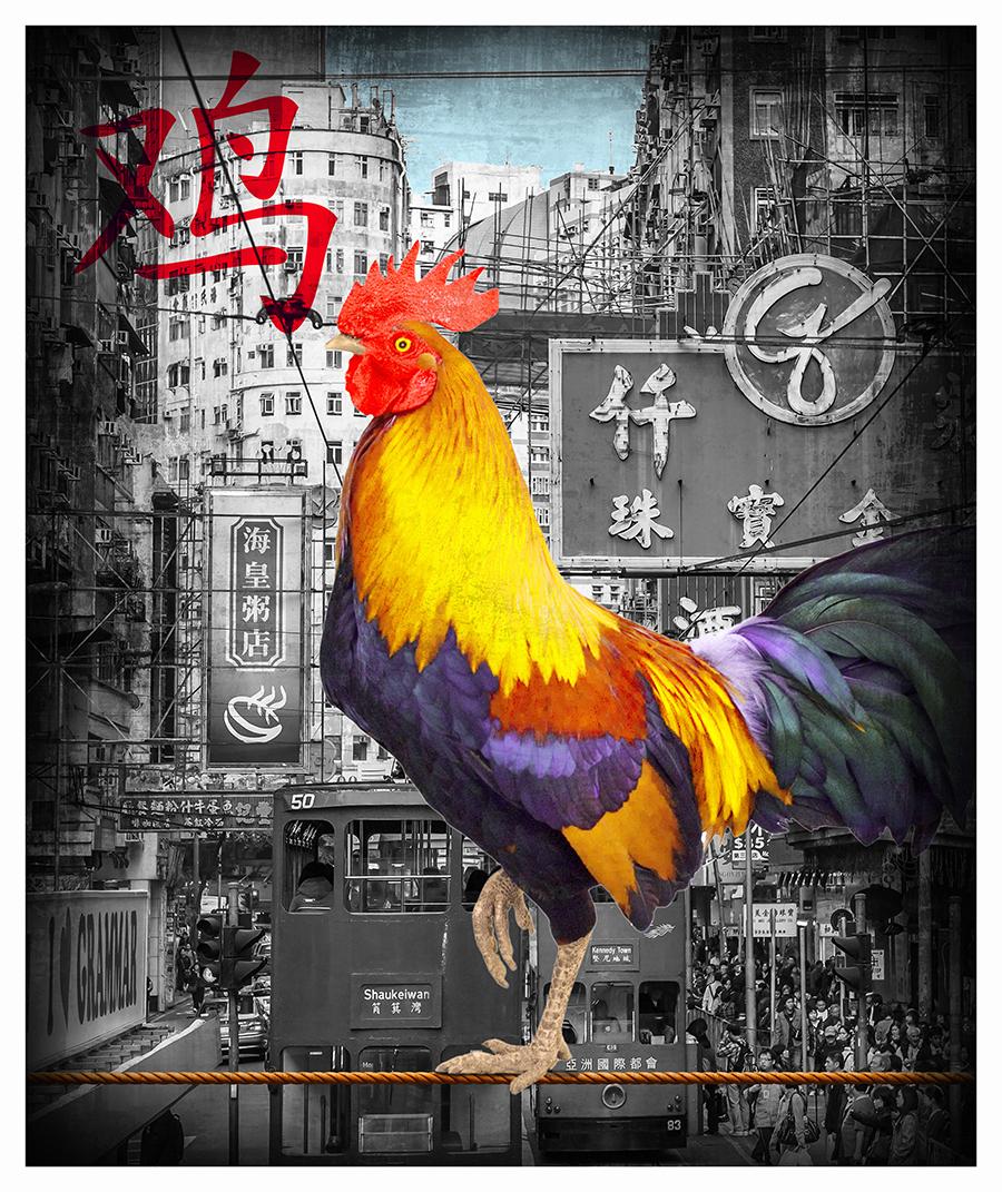 The Golden Rooster - Limited Edition of 25 - Fine Art Print - coated by epoxy - Mixed Media Art by Lars Tunebo