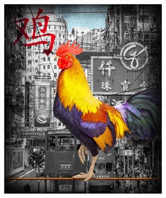 The Golden Rooster - Limited Edition of 25 - Fine Art Print - coated by epoxy