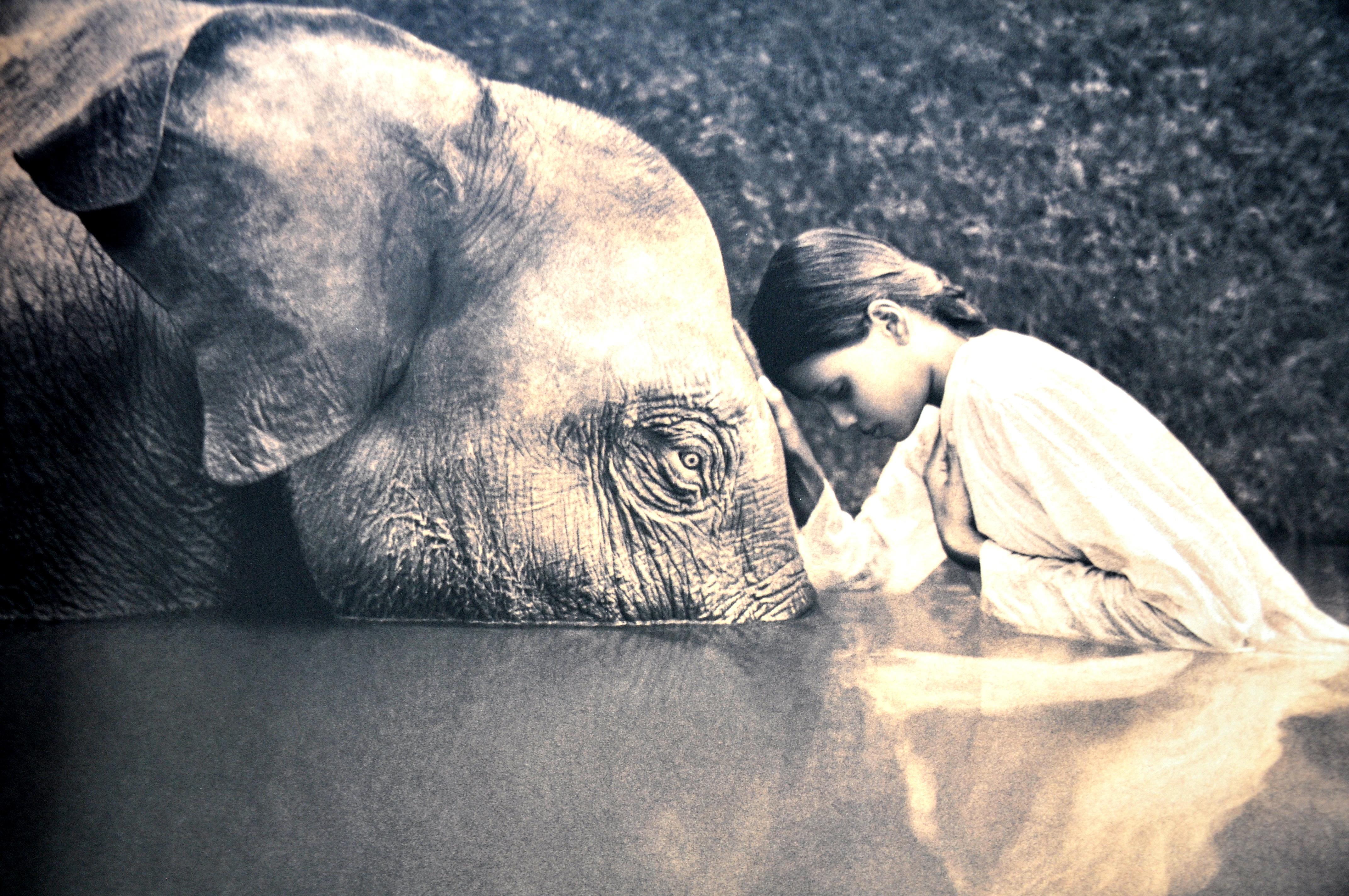 gregory colbert ashes and snow