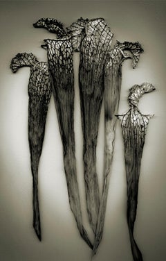 "Pitchers" - Limited Edition Print by Bob Francis - Florals