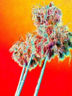 Orange Palms- Photographic Print by Maureen Haldeman - bright colors