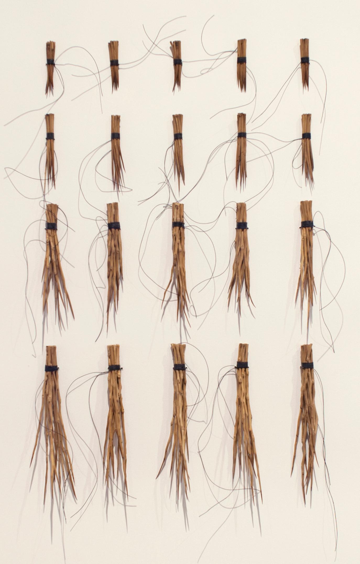 An Whitlock is a Canadian artist living and working in Paris, Ontario. Her work takes inspiration from the Canadian wilderness and landscape, and she often uses artifacts from nature in her pieces. Thorn Bundles is a series of meticulously collected