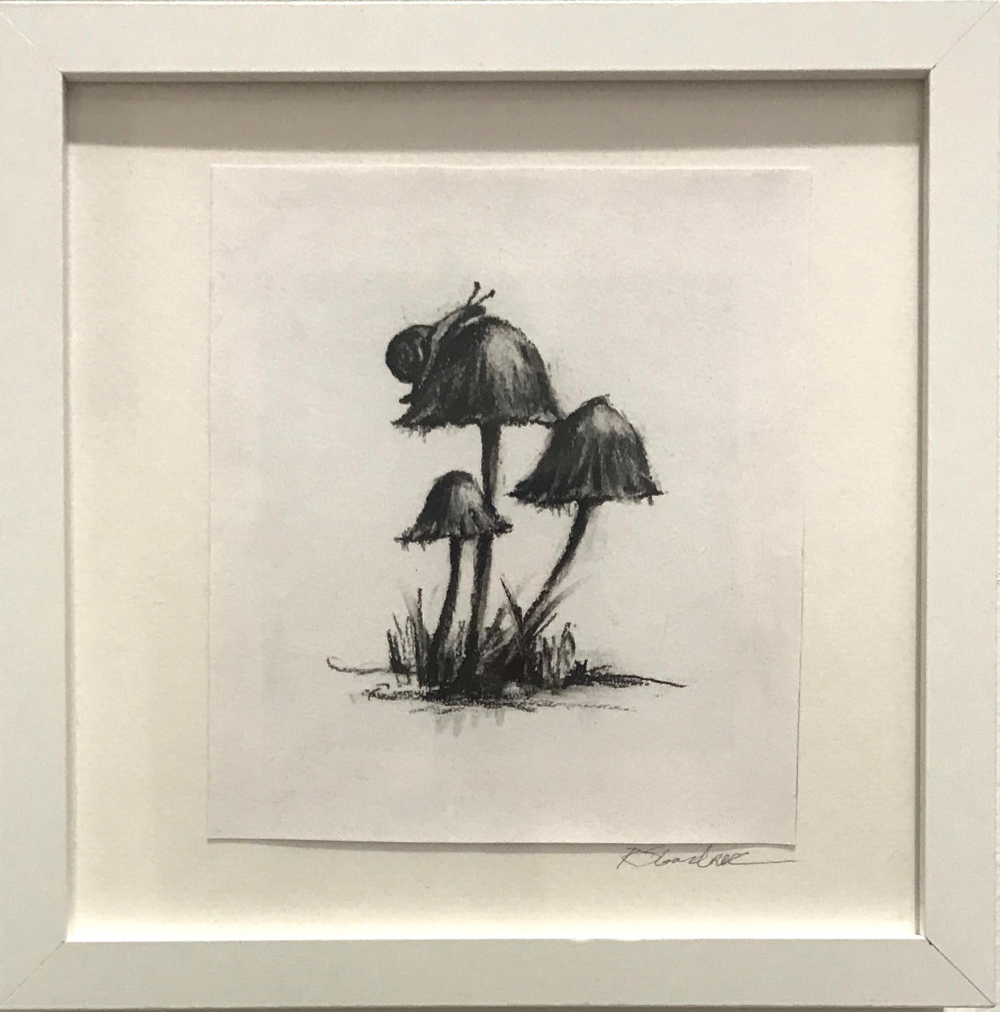Nature's Umbrellas - Contemporary Art by Rachel Gardner