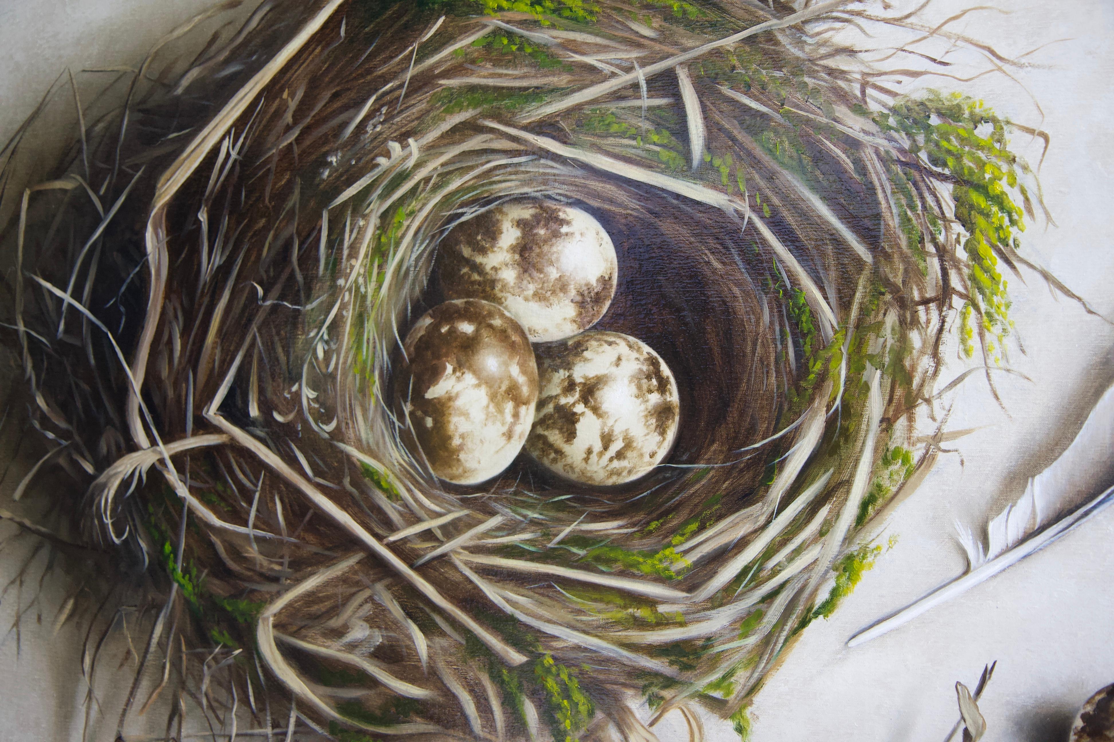 bird nest painting and artwork
