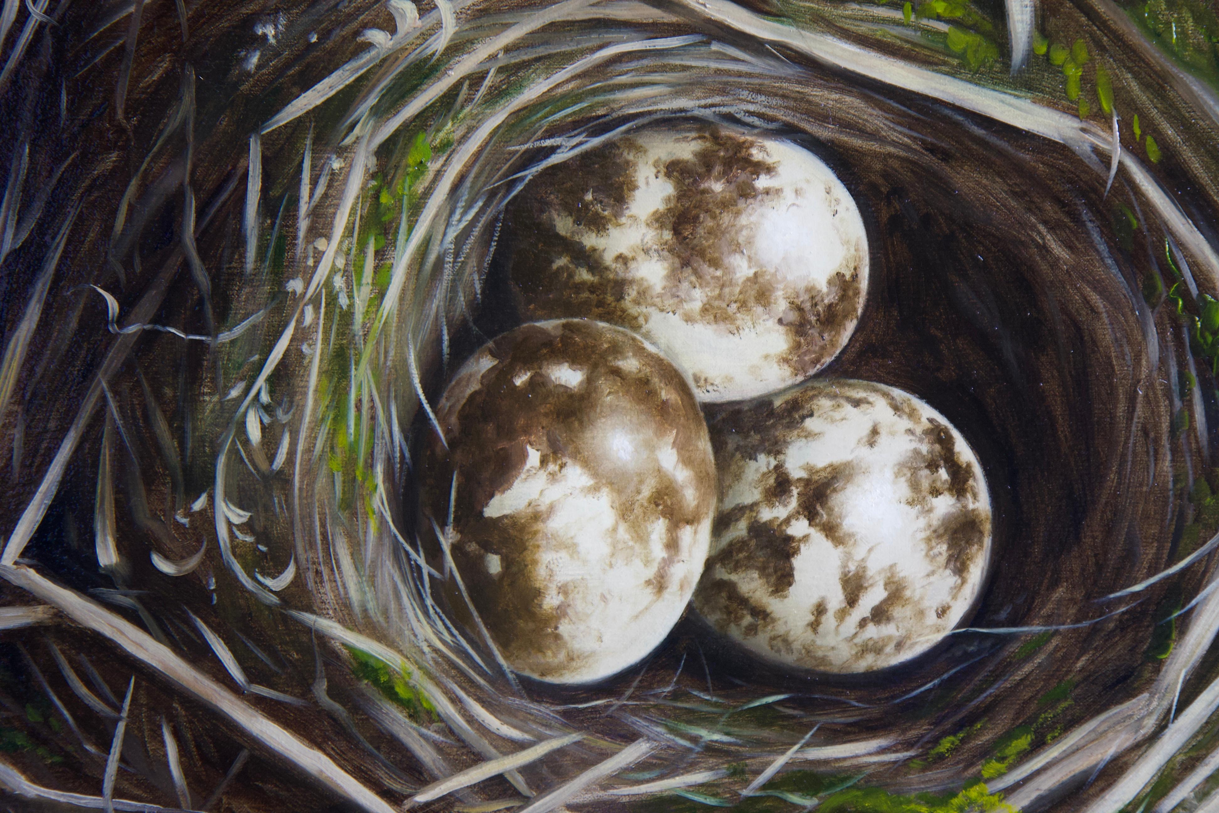 bird nest painting and artwork