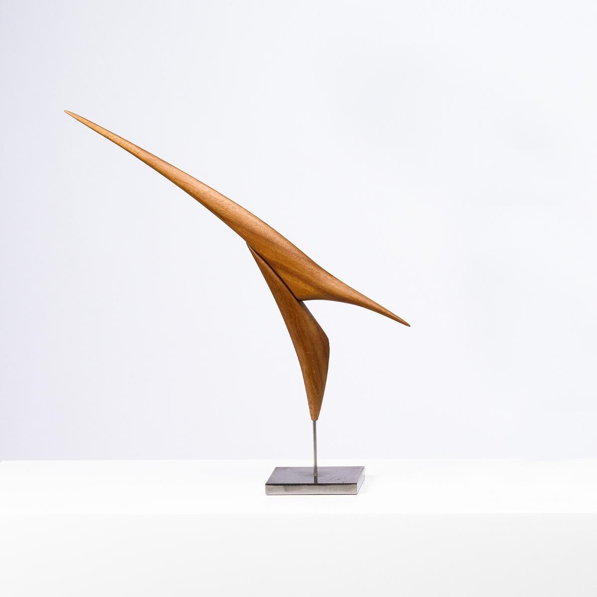 Antoni’s artisanal background gives him the technical quality and ability that highlights his work among others and his artistic approach explores the expressive and aesthetic possibilities of wood. Antoni creates his sculptures in a constant