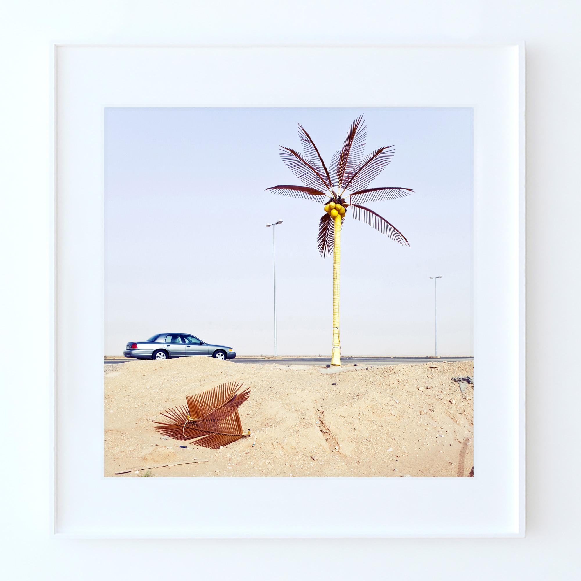Durma - Fine Art Photography, Landscape, Palm, Contemporary, Art, Roger Grasas For Sale 2