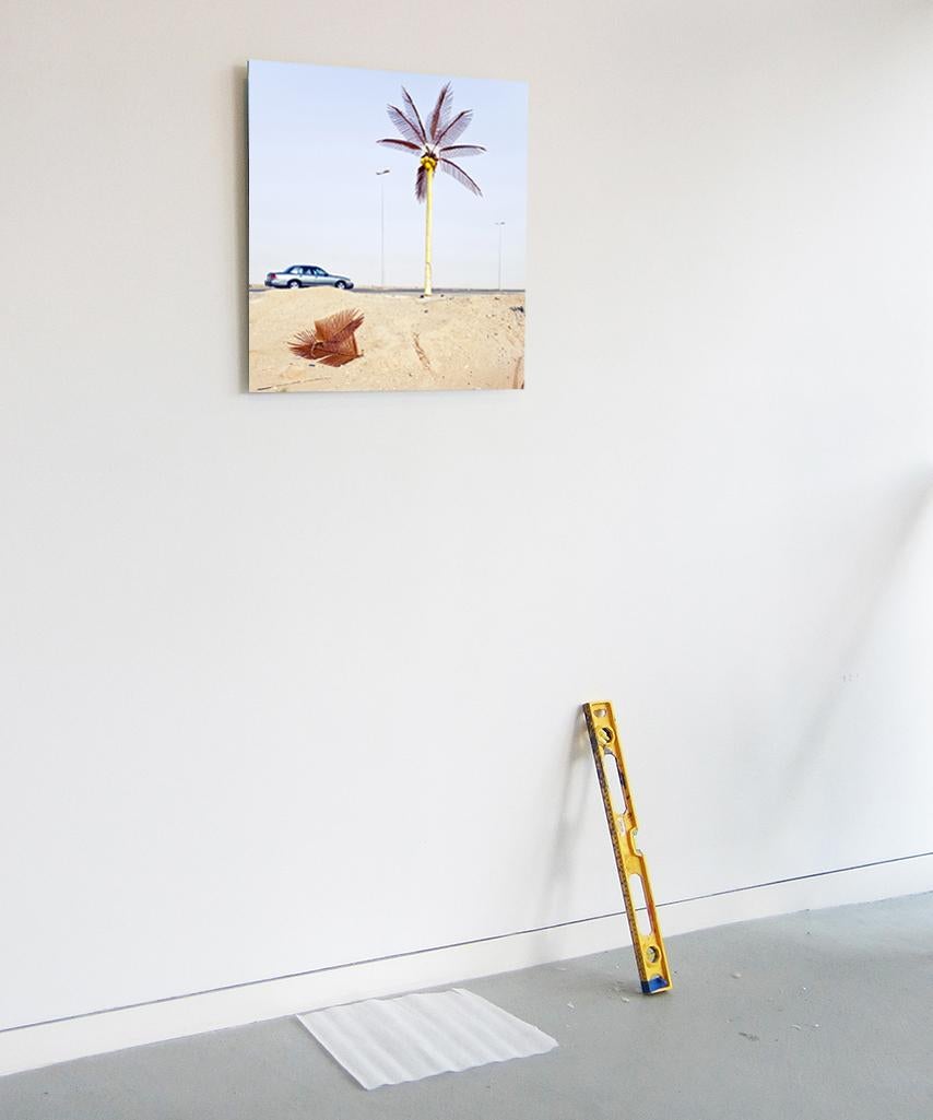 Durma - Fine Art Photography, Landscape, Palm, Contemporary, Art, Roger Grasas For Sale 3
