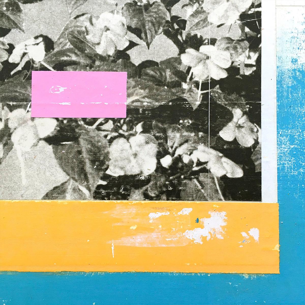 Impatiens -  Collage, Mixed Media, Flowers, Contemporary, Art, Kareem Rizk For Sale 2