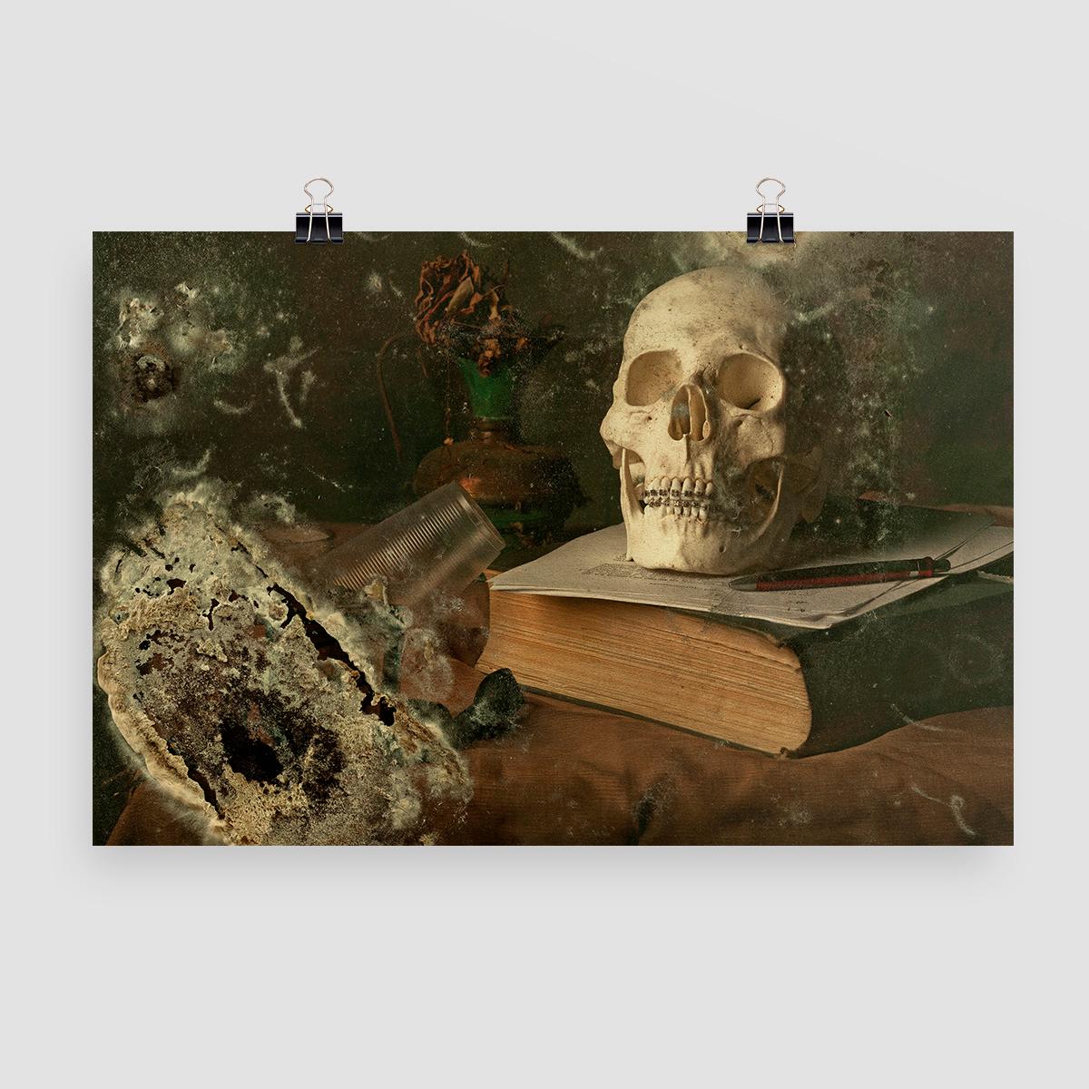 Skull II - Photography, Still Life, Baroque, Contemporary, Art, Aaron Alamo For Sale 1