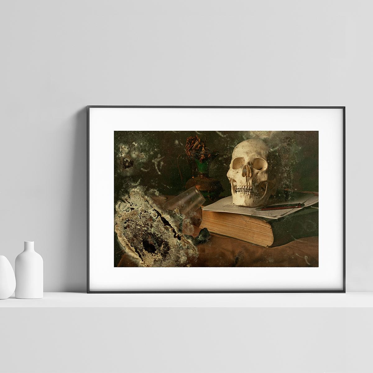Skull II - Photography, Still Life, Baroque, Contemporary, Art, Aaron Alamo For Sale 2