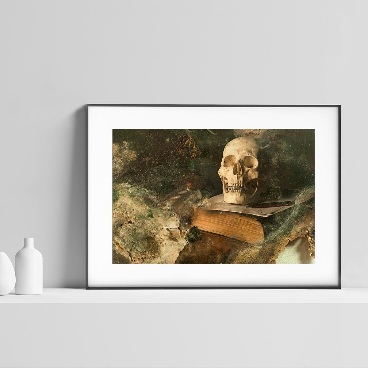 Skull III - Photography, Still Life, Baroque, Contemporary, Art, Aaron Alamo For Sale 1