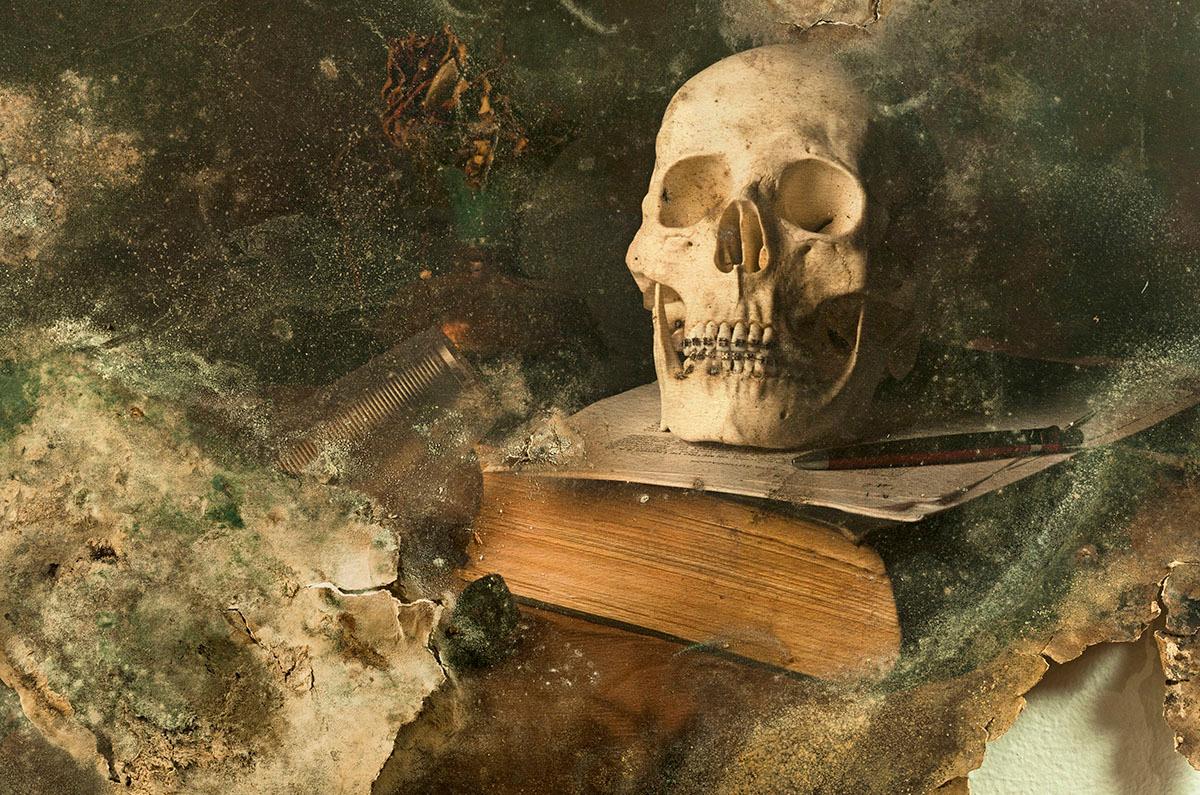 Aaron Álamo Still-Life Photograph - Skull III - Photography, Still Life, Baroque, Contemporary, Art, Aaron Alamo