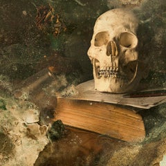 Skull III - Photography, Still Life, Baroque, Contemporary, Art, Aaron Alamo