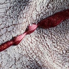 Elysian Fields 08 - Fine Art Photography, Nude, Body, Contemporary, Marius Budu