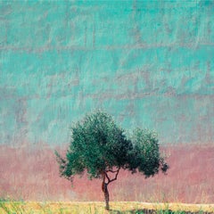 Athens - Fine Art Photography, Landscape, Tree, Contemporary, Art, Roger Grasas