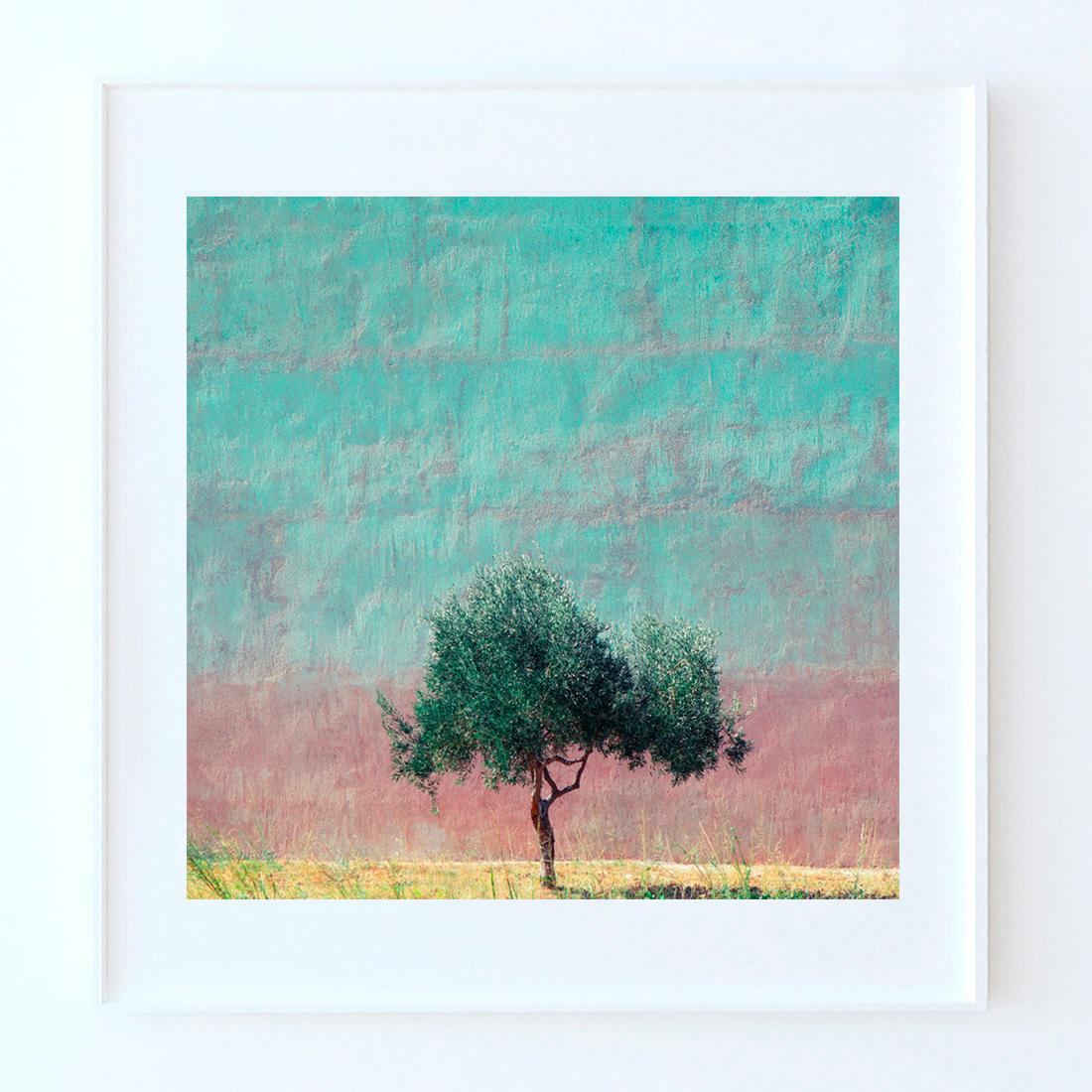 Athens - Fine Art Photography, Landscape, Tree, Contemporary, Art, Roger Grasas For Sale 2