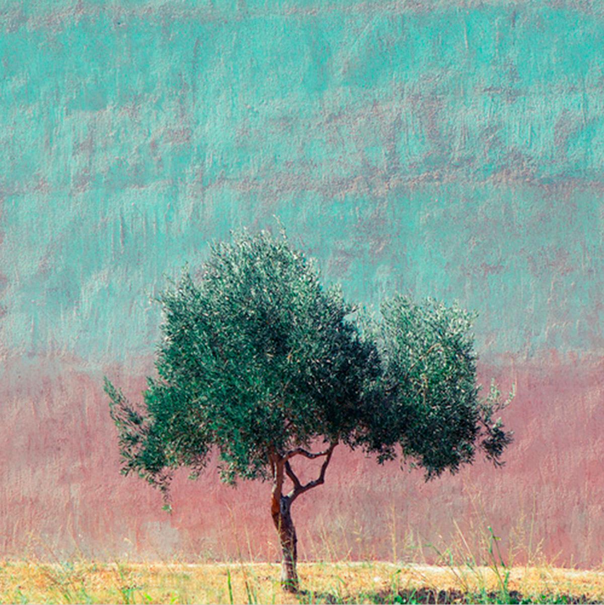 Athens - Fine Art Photography, Landscape, Tree, Contemporary, Art, Roger Grasas For Sale 1