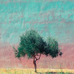 Athens - Fine Art Photography, Landscape, Tree, Contemporary, Art, Roger Grasas