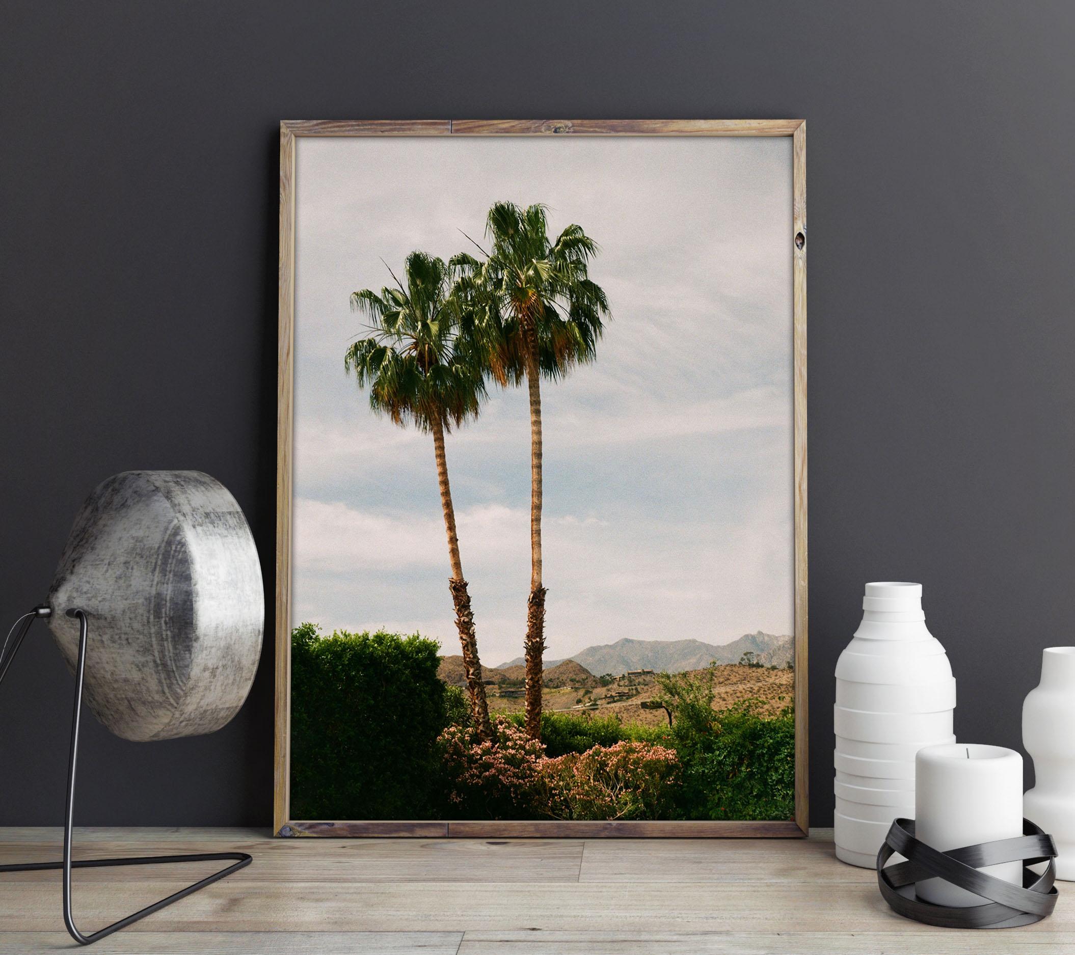 Palm Couple - Fine Art Photography, Landscape, Palm Tree, Art, Marcella Zanki For Sale 1