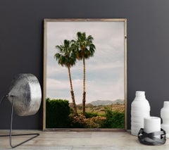 Palm Couple - Fine Art Photography, Landscape, Palm Tree, Art, Marcella Zanki