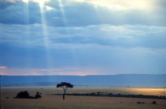 Masai Trees - Fine Art Photography, Landscape, Contemporary, Art, Eduardo Rubio