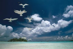 Seagulls - Fine Art Photography, Landscape, Contemporary, Art, Eduardo Rubio
