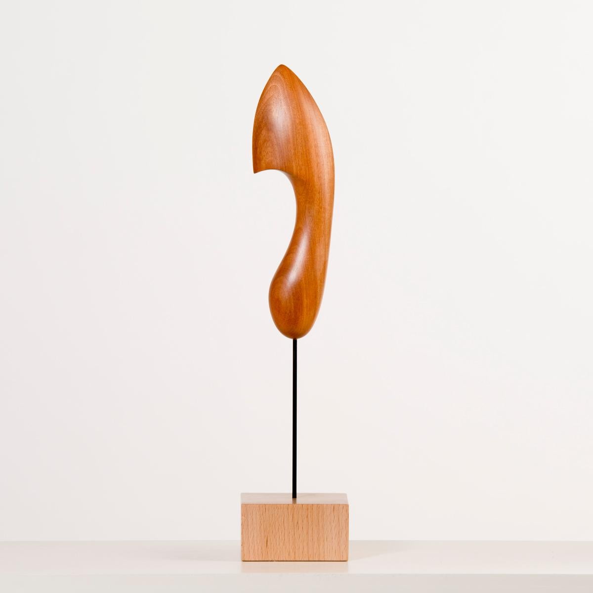 Antoni’s artisanal background gives him the technical quality and ability that highlights his work among others and his artistic approach explores the expressive and aesthetic possibilities of wood. Antoni creates his sculptures in constant research