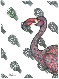 El "flamenco" en busca de su "flamenca" - flamenco de color rosa, verde