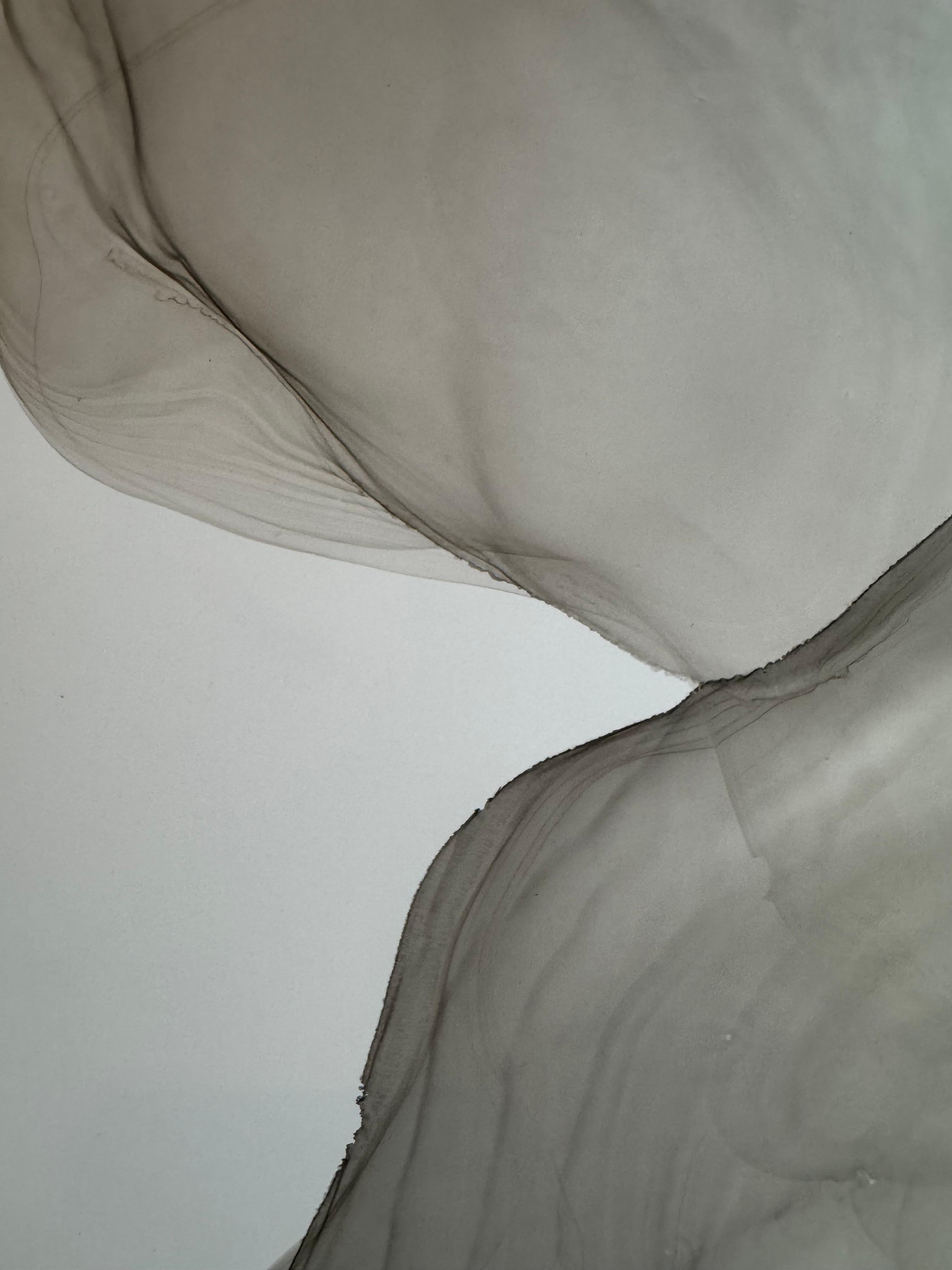 Flussi - astratto  dipinto, realizzato in nero, grigio - Art di Mila Akopova