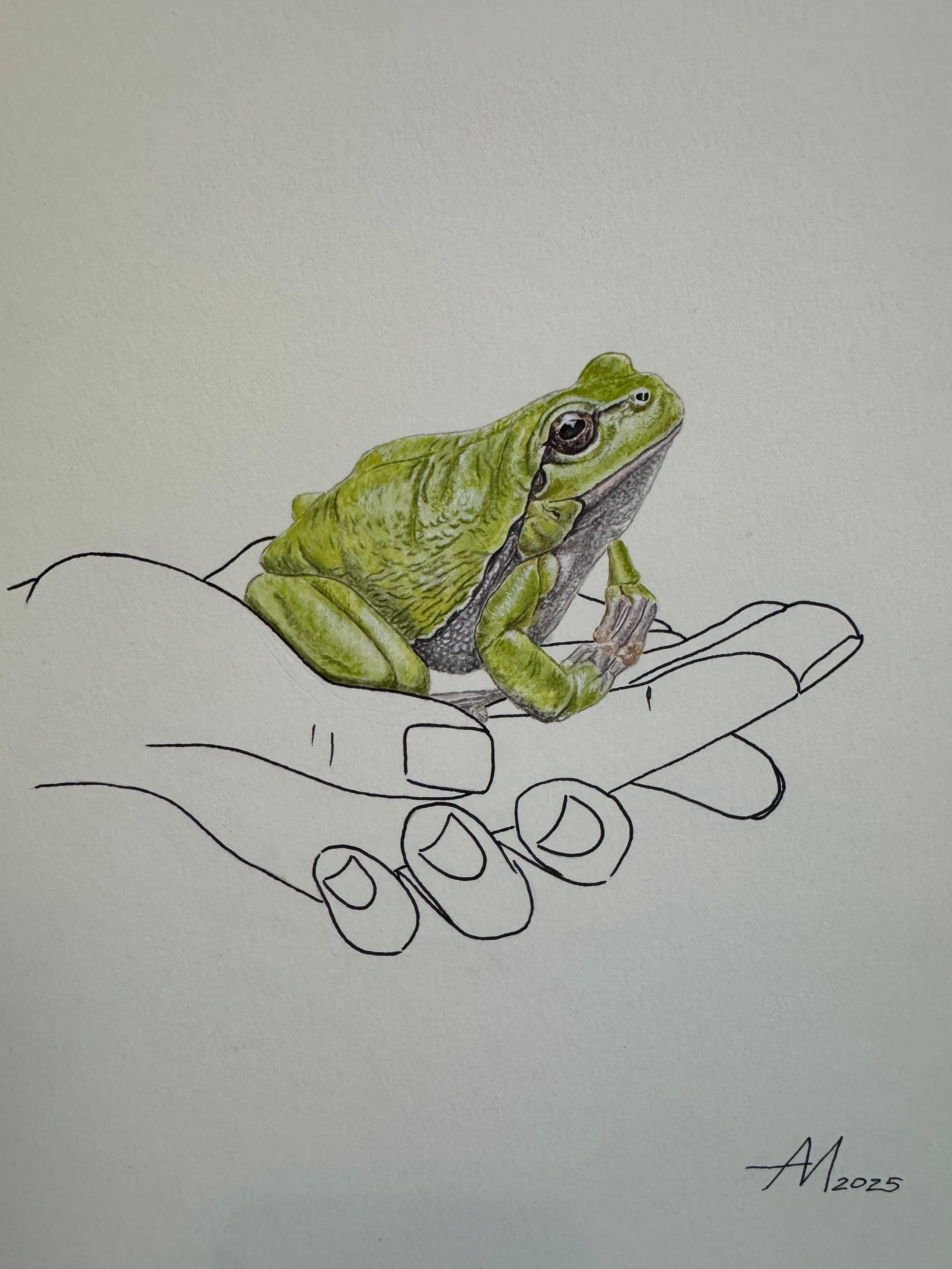 Animal Art de Mila Akopova - La prosperidad descansa aquí - dibujo lineal de manos con una rana verde (sapo Jin Chan)
