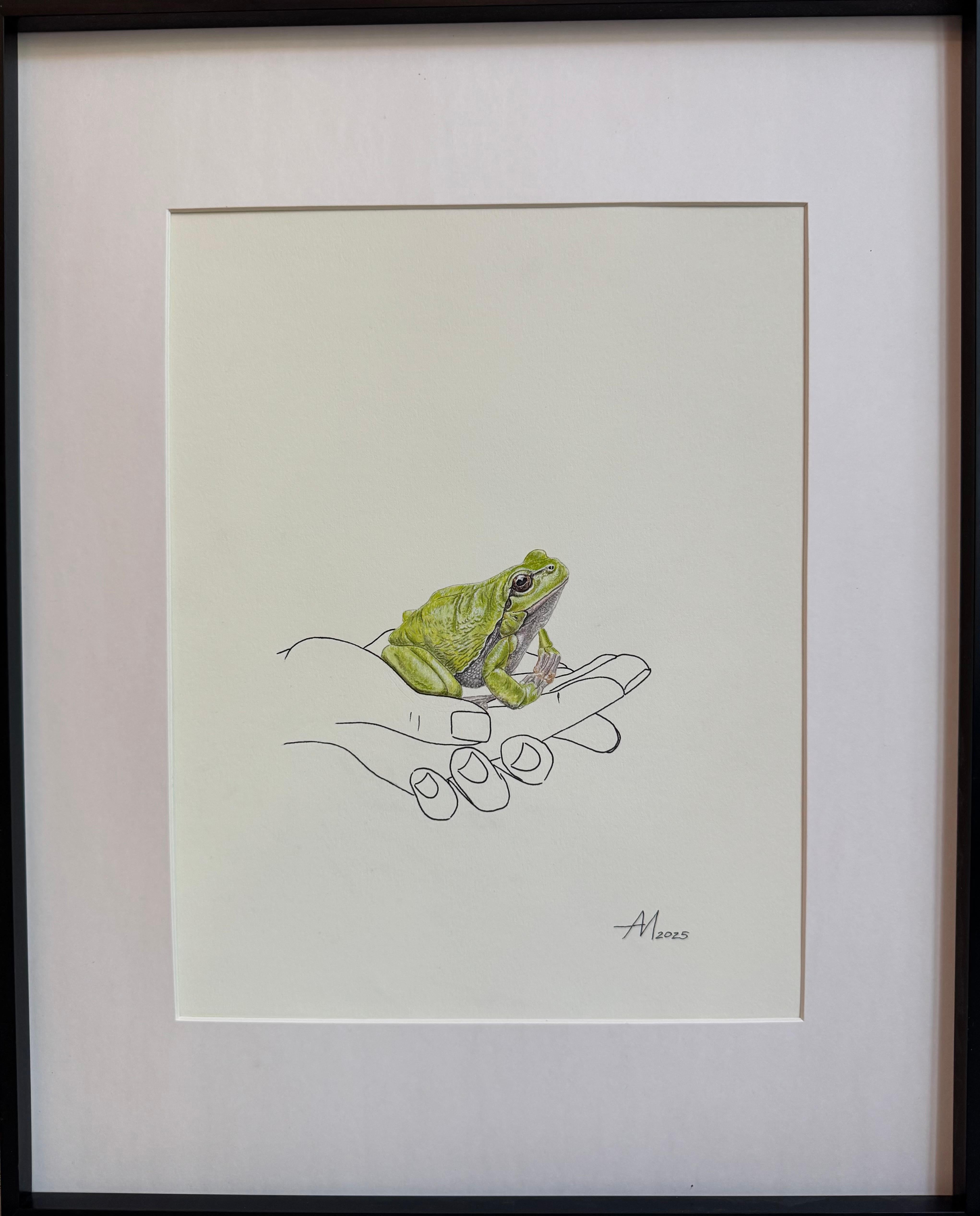 La prosperidad descansa aquí - dibujo lineal de manos con una rana verde (sapo Jin Chan) - Art de Mila Akopova