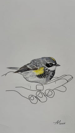 Where Wings Rest - line drawing of hands with a yellow-rumped Warbler bird