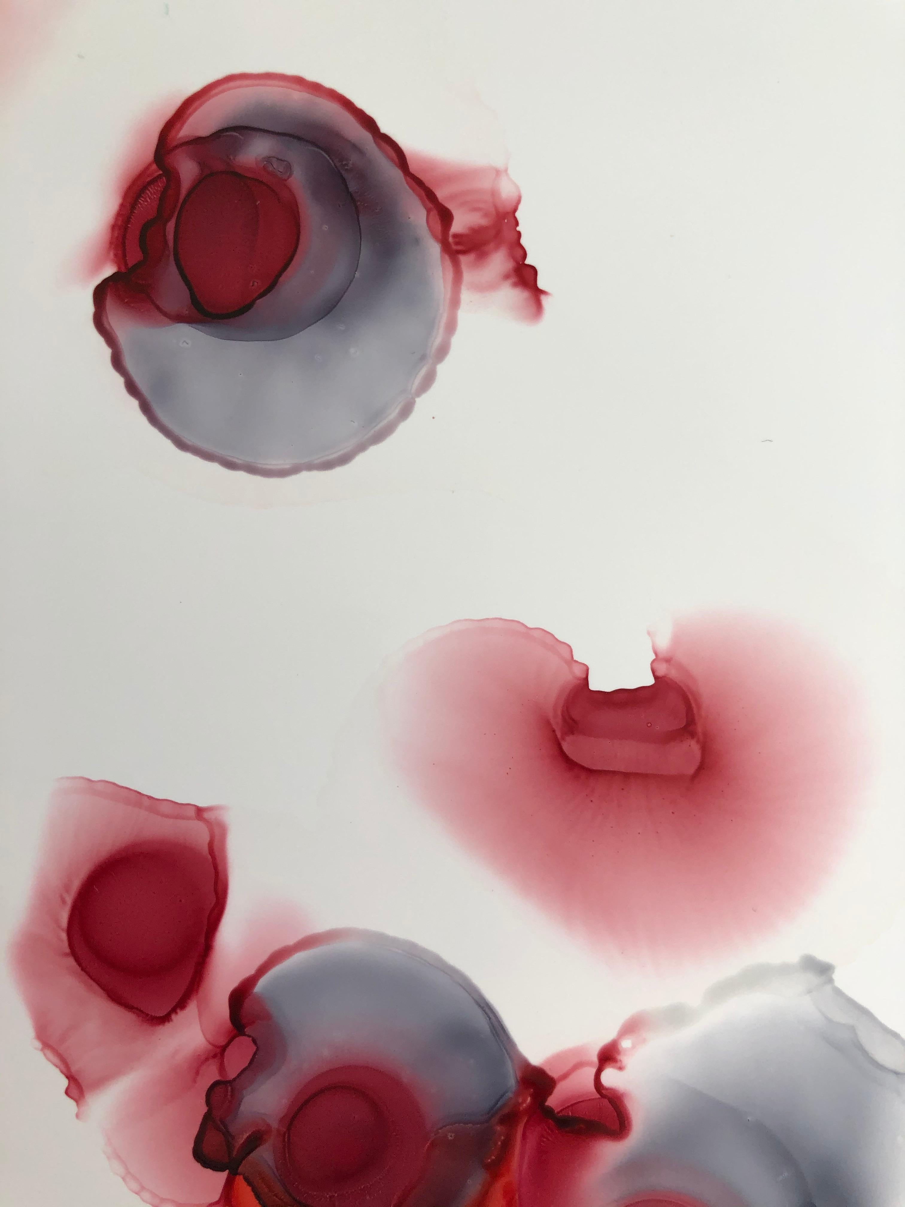 Singed roses - abstraction art, made in cherry red, garnet red, white, grey 1