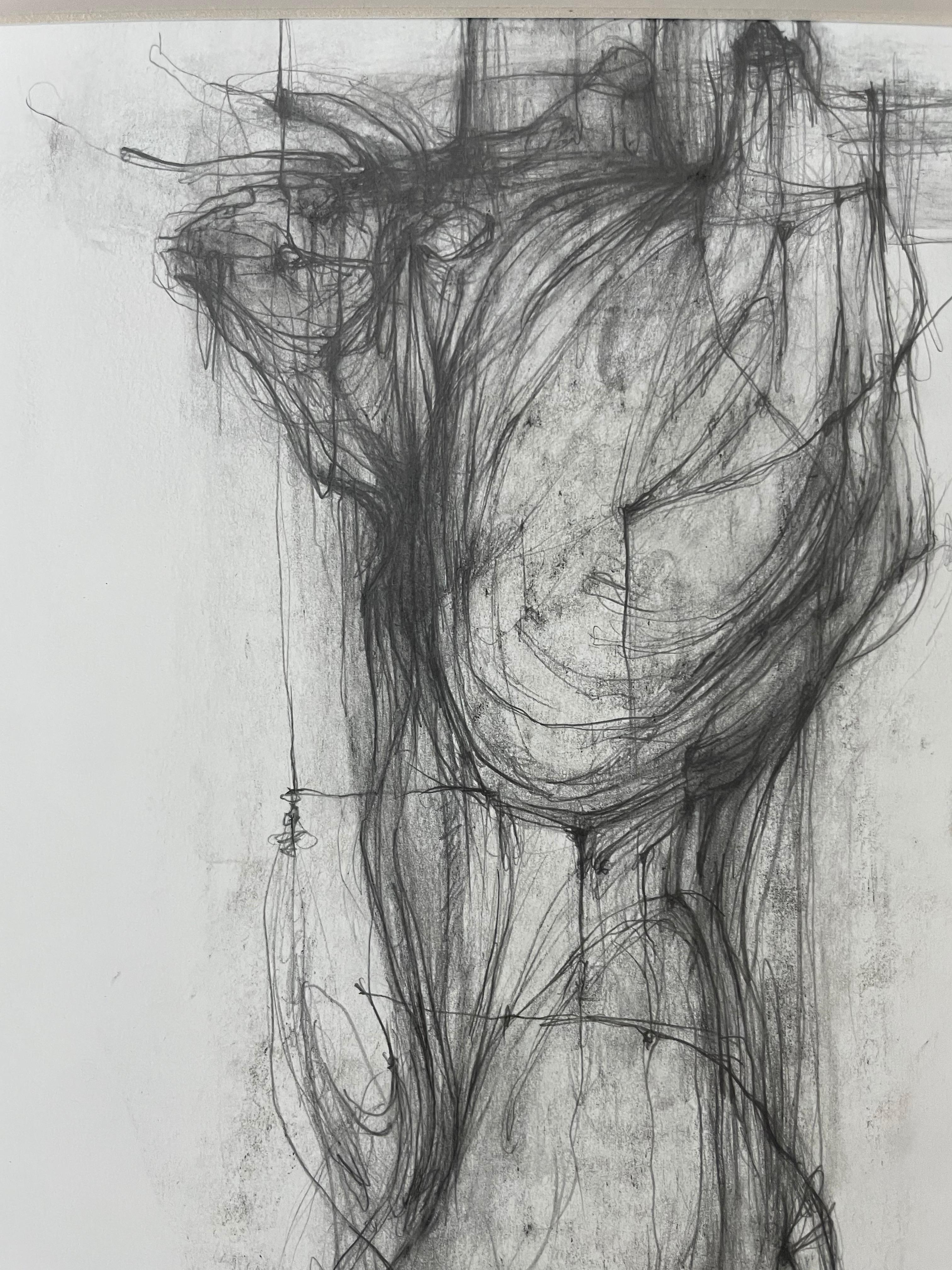 Il toro III - disegno al tratto espressivo - Animal Art Grigio di Dmitrii Drugakov