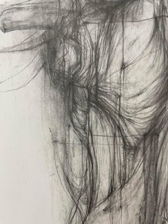 Il Toro V - disegno a linee espressive